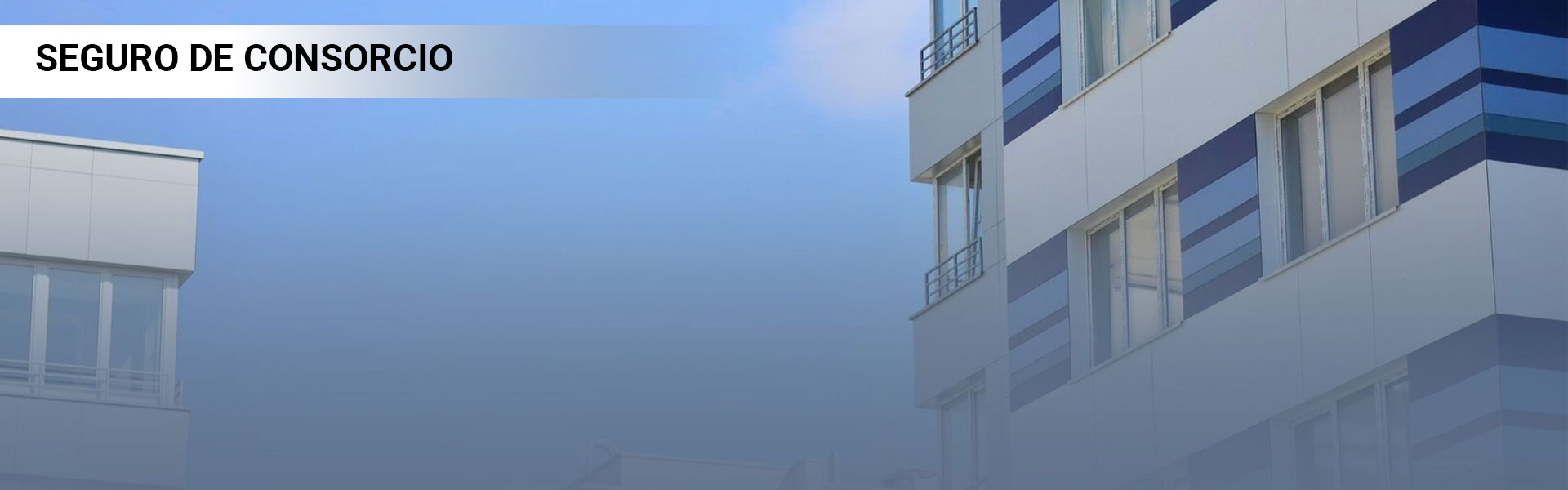 Banner-Seguro-Consorcio